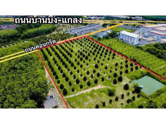 ขายสวนทุเรียนแปลงสวยกระแสบนแกลงจ.ระยอง