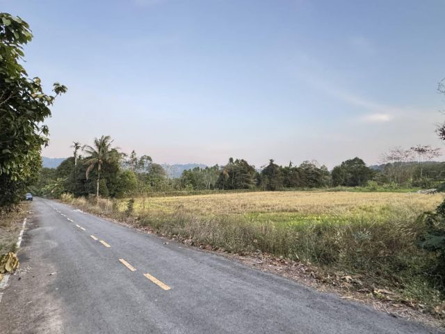 ขายที่ดินโฉนด ต.หินตั้ง จ.นครนายก หน้าติดถนน หลังติดคลองน้ำ วิวภูเขา ใกล้แหล่งท่องเที่ยว