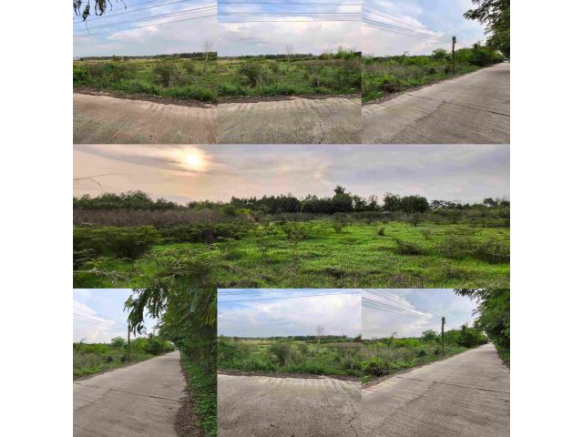 ขายที่ดินติดถนนคอนกรีต ด้านหลังติดลำรางธรรมชาติ บรรยากาศดี ทำเลน่าลงทุน! ที่ดินเนื้อที่ 2 ไร่ 2 งาน 77 ตารางวา