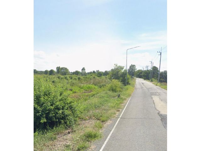 ขายที่นา 749 ไร่ โฉนด 44แปลง ต,ไผ่กองดิน อ.บางปลาม้า จ.สุพรรณบุรี และ อยุธยา