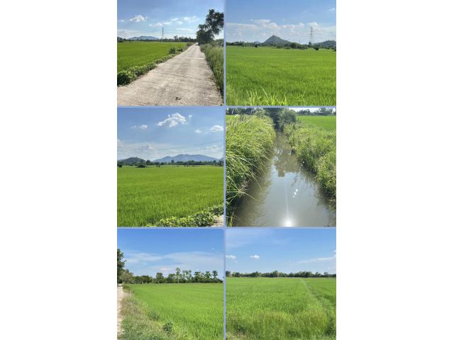 ที่ดิน วิวเขา อยู่อาศัย