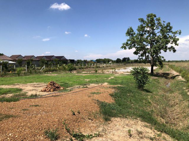 ต้องการขายด่วนนน!! เจ้าของจะรีบย้ายกลับต่างจังหวัดค่ะ เนื้อที่ 4 ไร่ ใกล้อุทยานประวัติศาสตร์ฯ ติดทางหลวง ต.เมืองเก่า สนใจ โทร.มาคุยเงื่อนไขกันนะคะ