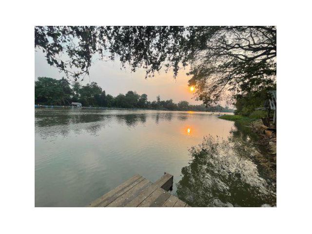 ขายที่ดิน 9 ไร่ ติดแม่น้ำแควน้อย ต.เกาะสำโรง อ.เมืองกาญจนบุรี จ.กาญจนบุรี