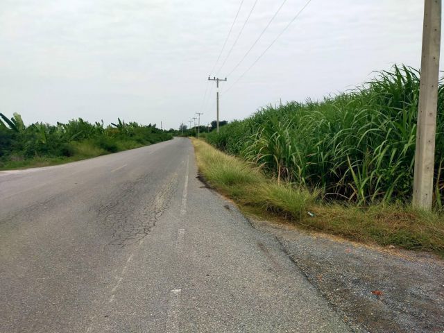 ขายที่ดิน 100-ไร่ไร่ละ550000-ติดถนนลาดยาง+คลอง อ.สองพี่น้อง จ.สุพรรฯเหมาะทำโรงงาน/สวนมะพร้าว/ฟาร๋มเลี้ยงสัตว์