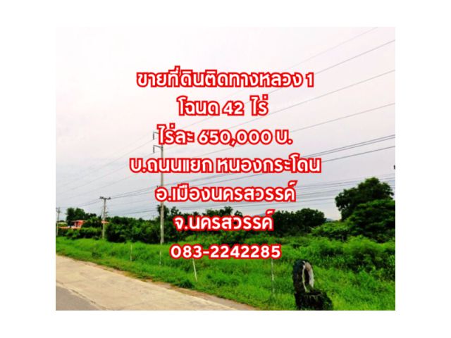 ขายที่ดินติดทางหลวง 42 wij  บ.ถนนแยก ต.หนองกระโดน อ.เมืองนครสวรรค์ จ.นครสวรรค์