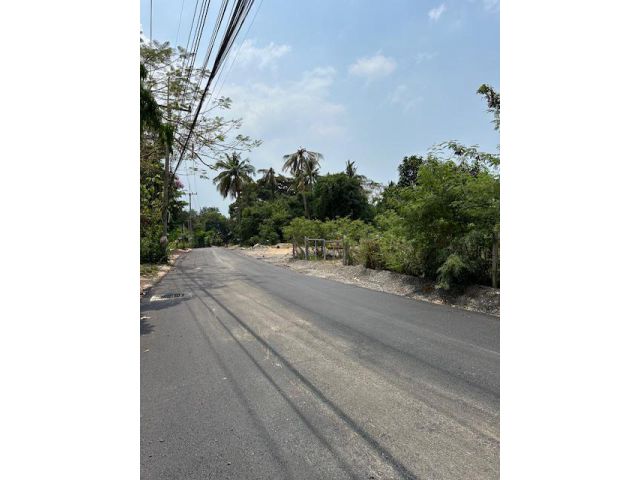 ขายด่วน 2 ไร่ เขาชีจรรย์ หนองจับเต่า