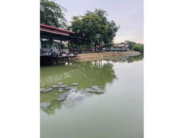 ให้เช่าที่ดิน ติดสระน้ำ ทำบ่อตกปลา  ร้านอาหาร รีสอร์ท