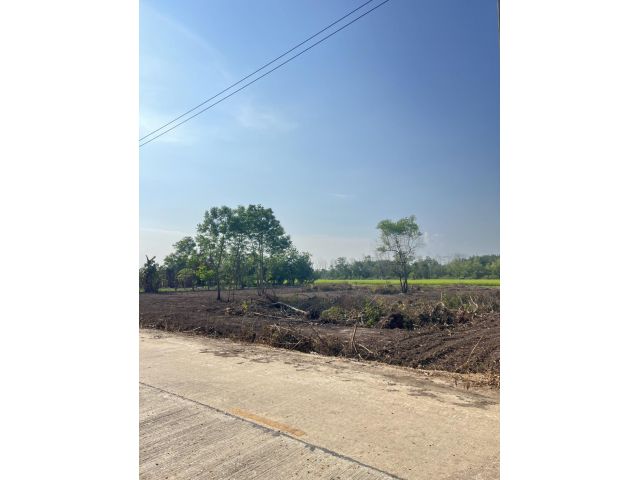 ขายที่ดิน 2 ไร่ คลองหก ปทุมธานี ราคาถูกสุดในย่านนี้