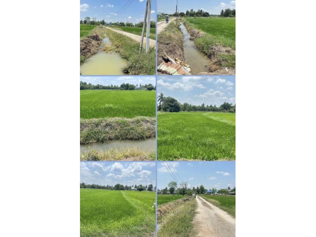 ที่นาเขตเทศบาล
