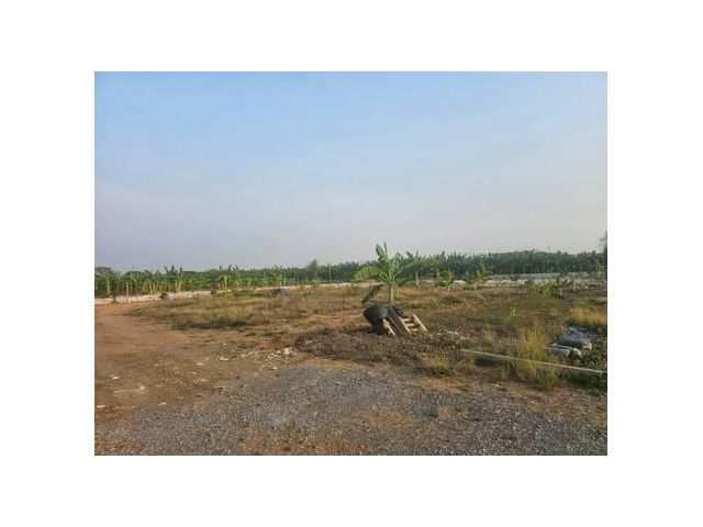 ขายที่ดิน 100 ตร.ว. ซ.ศรีนครินทร์-ร่มเกล้า 42 ถ.กรุงเทพกรีฑา ใกล้เดอะพาซิโอมอลล์
