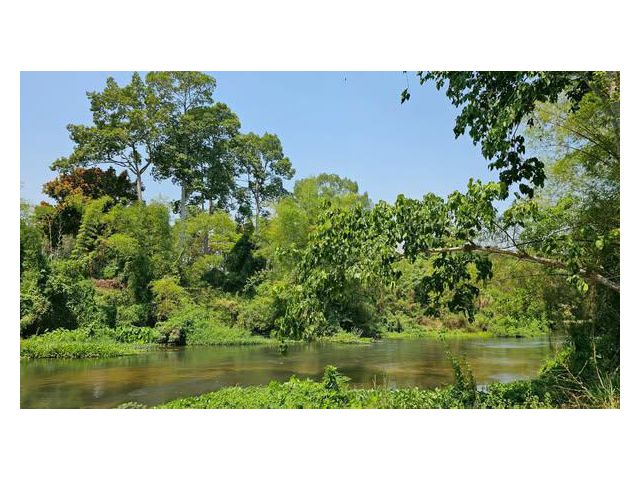 ขายที่ดินสวยระดับนางฟ้า ติดริมแม่น้ำเพชรบุรี