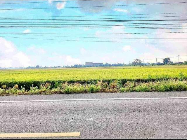 ขายด่วน!!!!ที่ดินสวยบางปะกงฉะเชิงเทรา 55 ไร่
