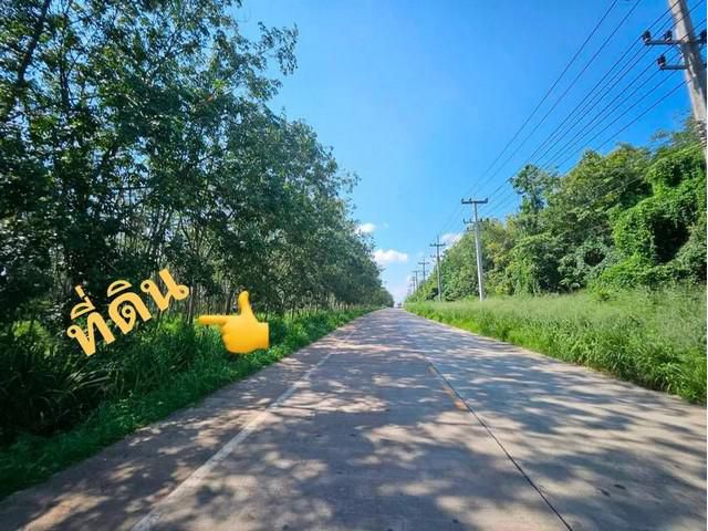 ที่ดินสวยโซนโรงงานบ้านบึงชลบุรี​​ 26​  ไร่