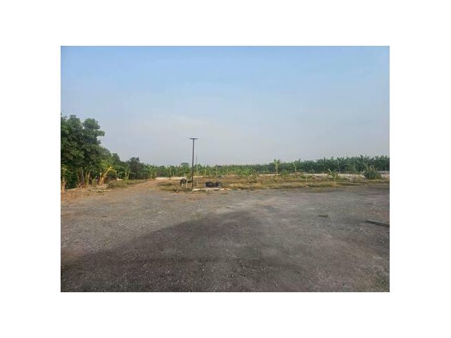 ขายที่ดิน 200 ตร.ว. ซ.ศรีนครินทร์-ร่มเกล้า 42 ถ.กรุงเทพกรีฑา ใกล้เดอะพาซิโอมอลล์