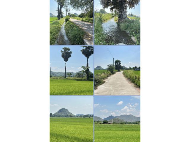 ที่นาแสนสวย