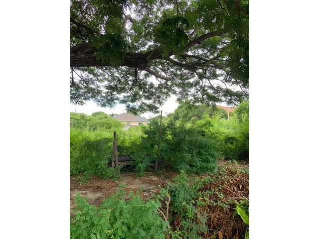 ขายที่ดินบ้านปึก ชลบุรี