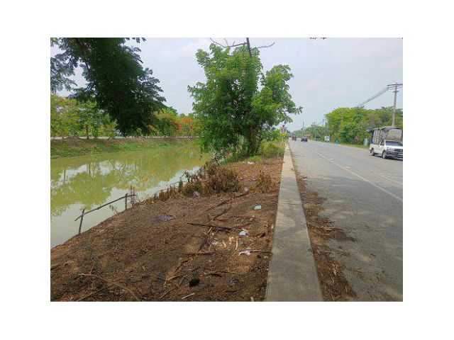 ขายที่ดิน 74 ไร่ คลองสาม อ.คลองหลวง จ.ปทุมธานี