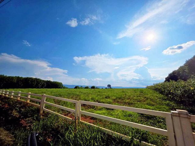 ที่ดิน วิวเขาใหญ่ อ.วังน้ำเขียว จ.นครราชสีมา จำนวน 7 ไร่ (ต.วังหมี) รูปสี่เหลื่ยมผืนผ้า