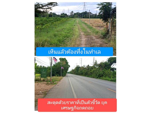 ข่าวดีเป็นข่าวด่วนให้กวนใจเล็กน้อยถึงปานกลางสุดแล้วแต่จะพิจารณา นี่คือเรื่องจริง ติดถนนหลัก3273 ราคาลดเหลือครึ่งเดียว
