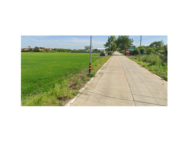 ขายที่ดิน 44 ไร่ คลอง12 อ.ลำลูกกา จ.ปทุมธานี