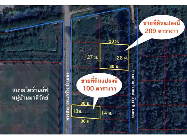 ขายที่ดิน 100-209 ตรว.รังสิตคลอง2 ใกล้สนามกอล์ฟมาลีวัลย์ ราคาถูกๆ