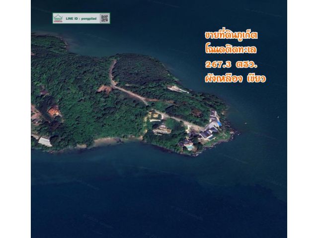 ขายที่ดินภูเก็ต โฉนดติดทะเล 267.3 ตรว.ละ 123,456 บาท ผังเหลือง เขียว
