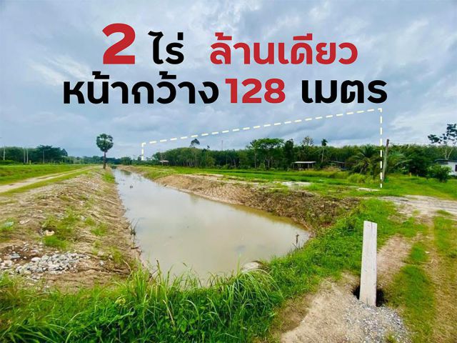 ขายที่ดินมะกรูด 2 ไร่