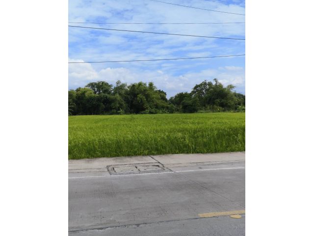 Sale large land about 9,600 sqm.  at Thairaman Road Hathairath