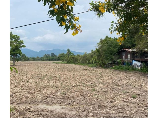 30-3-32 ไร่ติดถนนบ้านนา แก่งคอย ใกล้ปั๊มปตท.สาขาหนองเคี่ยม ตำบลเขาเพิ่ม บ้านนา นครนายก