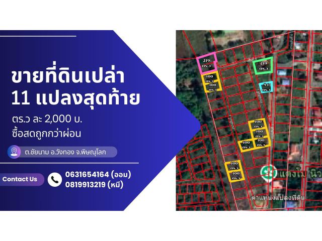 ขายที่ดินเปล่า 11 แปลงสุดท้าย ตารางวาละ 2,000฿ #อำเภอวังทอง จังหวัดพิษณุโลก (ใกล้เขตชุมชน)