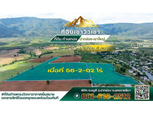 ขายที่ดิน 56 ไร่ 2 งาน 2 ตร.ว. ทําเลทอง ปากช่อง-เขาใหญ่ สนใจติดต่อ 0816162512