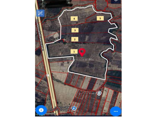 ขายที่ดิน 282.5 ไร่ ติดถนนมิตรภาพ หนองสองห้อง อ.เมือง จ.หนองคาย