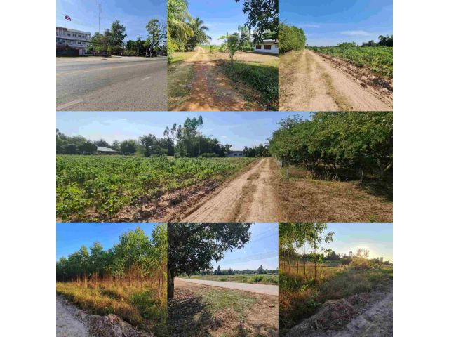 ขายที่ดินสวน 3 ไร่ ติดถนน 2 ด้าน ที่สวย ทำเลดี บรรยากาศธรรมชาติ