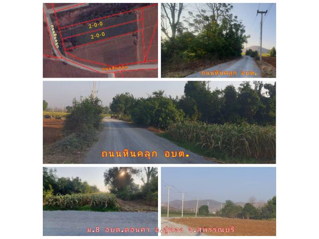 (โฉนด) ที่ดิน 4 ไร่ๆละ 320,000 บ. (ห่าง ทล.ชนบท 3019) 800 ม. ถนนหินคลุก ไฟฟ้่่า น้ำบ่อบาดาล ม.8 ต.ดอนคา อ.อู่ทอง จ.สุพรรณบุรี
