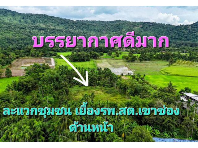ขายด่วนมาก ที่ดินนครนายก เขาพระ บรรยากาศดีมาก วิวภูเขาใกล้อ่างเก็บน้ำห้วยปรือ 2 ไร่เศษ ใกล้สถานที่ราชการ รพสต. โรงเรียน วัด สาธารณูปโภคครบ