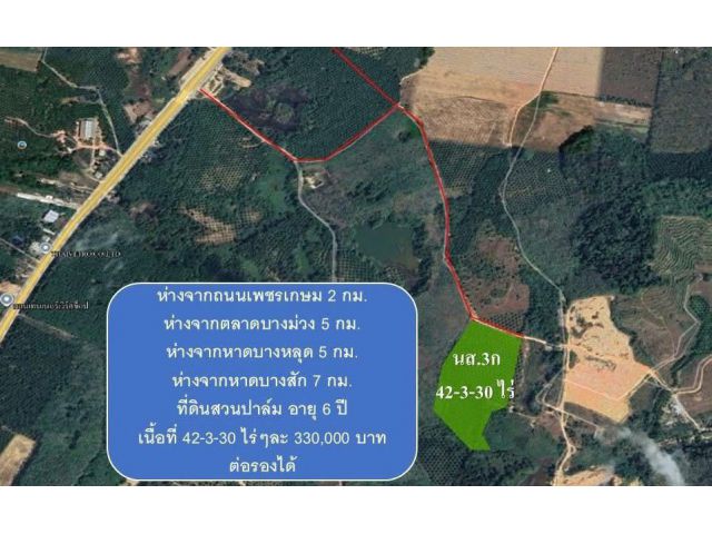 ขายด่วน!! สวนปาล์ม42ไร่ อายุ6ปี เก็บผลผลิตได้แล้ว