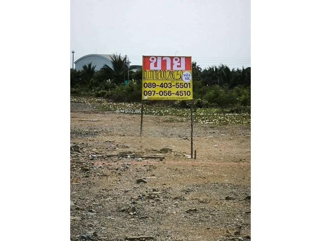 ขายที่ดิน  100 ตร.วา  ด้านหลังติดคลอง   ชัยมงคล  เมืองสมุทรสาคร