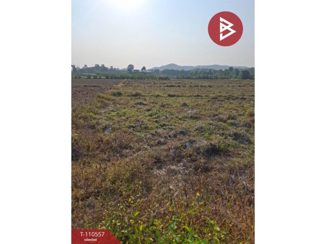 ขายที่ดิน เนื้อที่ 3 ไร่ 3 งาน 73 ตร.วา เทิง เชียงราย