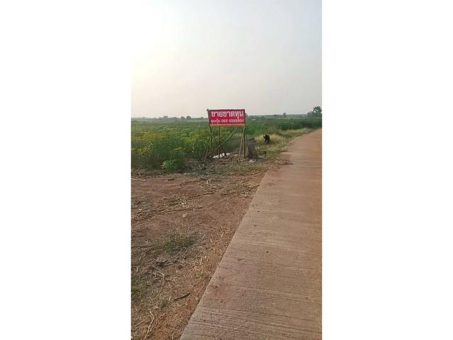 ขายที่ดินวิวภูเขา กาญจนบุรี  มะขามเตี้ย