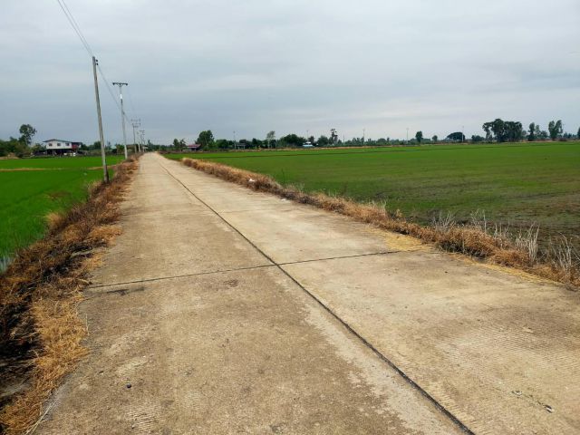 ขายที่ดิน16-ไร่ ไร่ละ230000-ติดถนนคอนกรีต+คลอง อ.สองพี่น้อง จ.สุพรรฯเหมาะทำบ้านพัก/บ้านสวน/เลี้ยงกุ้งปลาใก้ลถนน3422+ปั้มปตท
