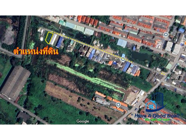 ที่ดิน 100 ตร.วา คลองพุทรา 2 ซอย 8 บางปะอิน