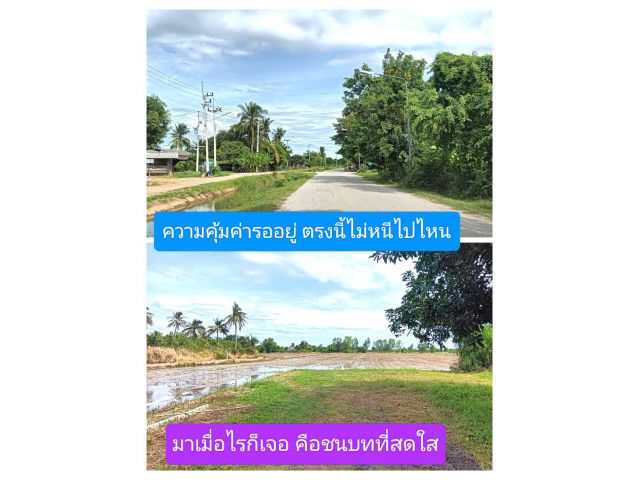 ตรงนี้ไม่ปิดกั้นความต้องการ แหล่งรวมความพร้อมในด้านที่อยู่อาศัย ชุมชนการเกษตร ดีแล้วดีอีกฉีกทุกความต้องการ ชนบทที่จดจำ
