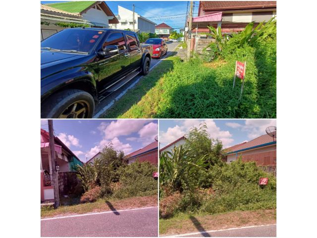 ขายที่ดินสวนตูลราคาถูกที่สุด