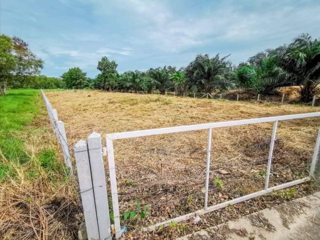 ขายที่ดินตะพงติดวิวเขาเนื้อที่ 300 ตรว. ติดถนนคอนกรีต ใกล้ถนนสุขุมวิท3-800เมตร เมืองระยอง