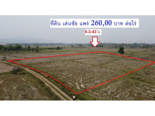 ที่ดิ ที่นา แม่จั๊วะ เด่นชัย แพร่ ไร่ละ 260,000 บาท  ใกล้คลองส่งน้ำสายใหม่ ใกล้แยกเด่นชัย เทศบาลเด่นชัย ที่ว่าการอำเภอเด