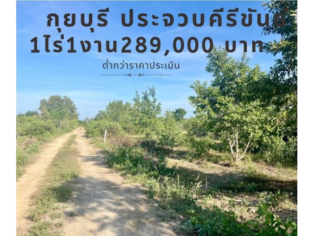 ขายที่ดิน ต่ำกว่าราคาประเมิณ ขนาด 1 ไร่ 1 งาน กุยบุรี ประจวบคีรีขันธ์​