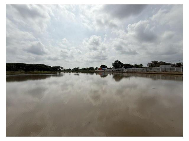 ขายที่ดินบางปะหัน ติดถนนสายเอเชียหมวดการทางบางปะหัน (รหัสทรัพย์ 202542) ต.หันสัง อ.บางปะหัน จ.อยุธยา
