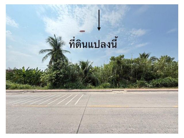 ขายที่ดิน ซอยสุขาประชาสรรค์ 2 (ซอยวัดกู้) รหัสทรัพย์ 202543)  ต.บางพูด อ.ปากเกร็ด จ.นนทบุรี ขนาด 1 ไร่ 2 งาน