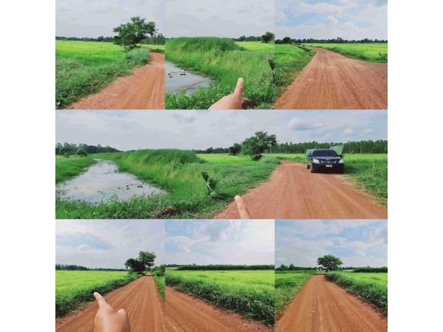 ขายที่ดินติดคลองธรรมชาติ เนื้อที่ 9 ไร่ ต.บ้านหอย อ.ประจันตคาม จ.ปราจีนบุรี  ขายยกแปลง 1,500,000 บาท