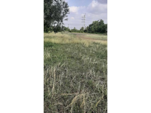 ที่ดินติดถนนเส้นบุรีรัมย์-สตึก